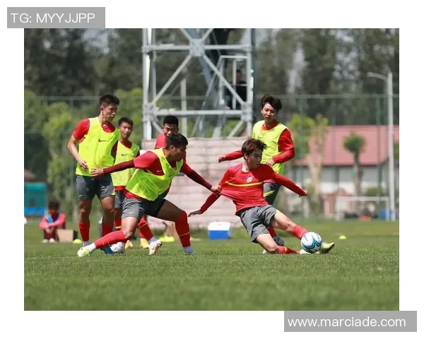 球场英豪风采诗篇赞颂足球巨星的荣耀与传奇 球场英豪风采诗篇赞颂足球巨星的荣耀与传奇